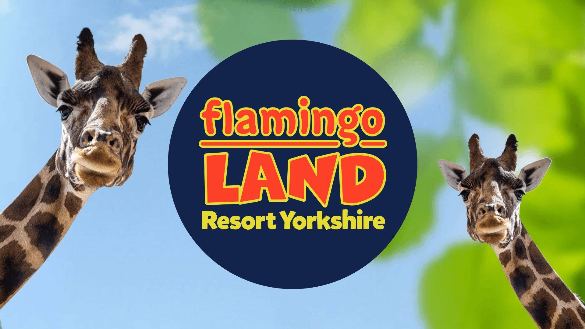 Flamingo Land - Advance Bookings