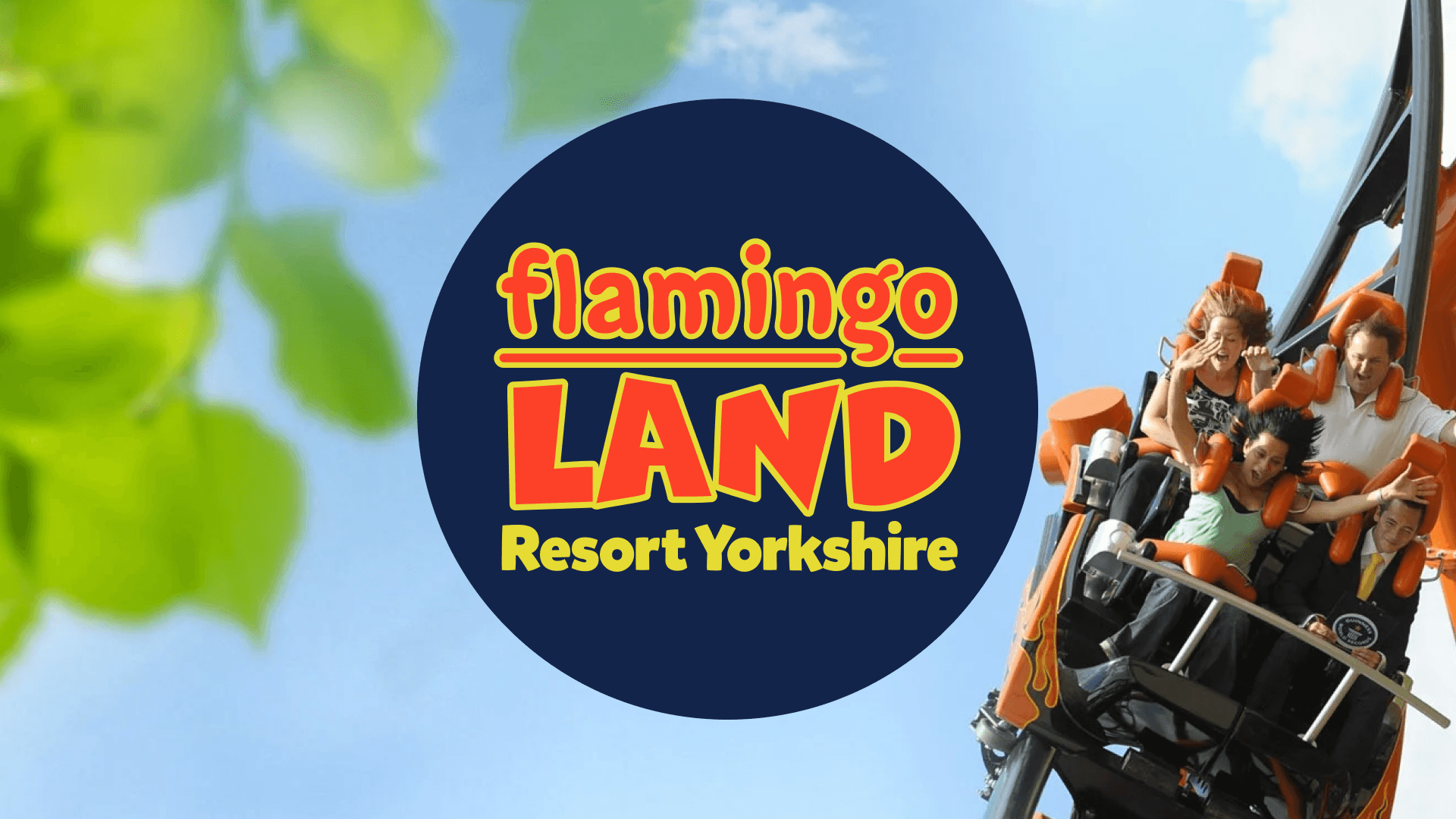 Flamingo land - Boost family
